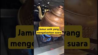 Download lagu Jamur unik yang mengeluarkan suara‼️ mp3