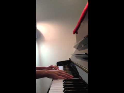 Beethoven  - Cheetah