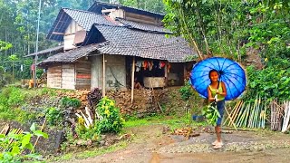 Download lagu Suasana pedesaan yang indah di musim hujan mp3