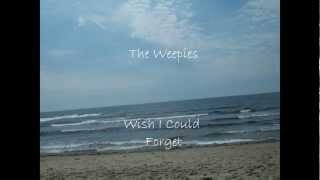 Wish I Could Forget, The Weepies (Lyrics)