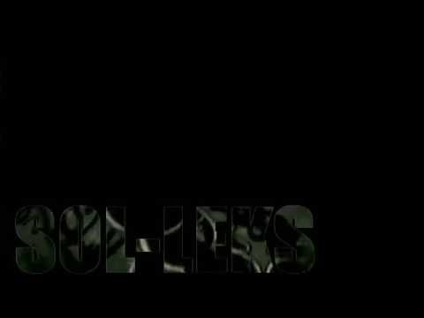 SOL-LEKS - Down For The Night rmx