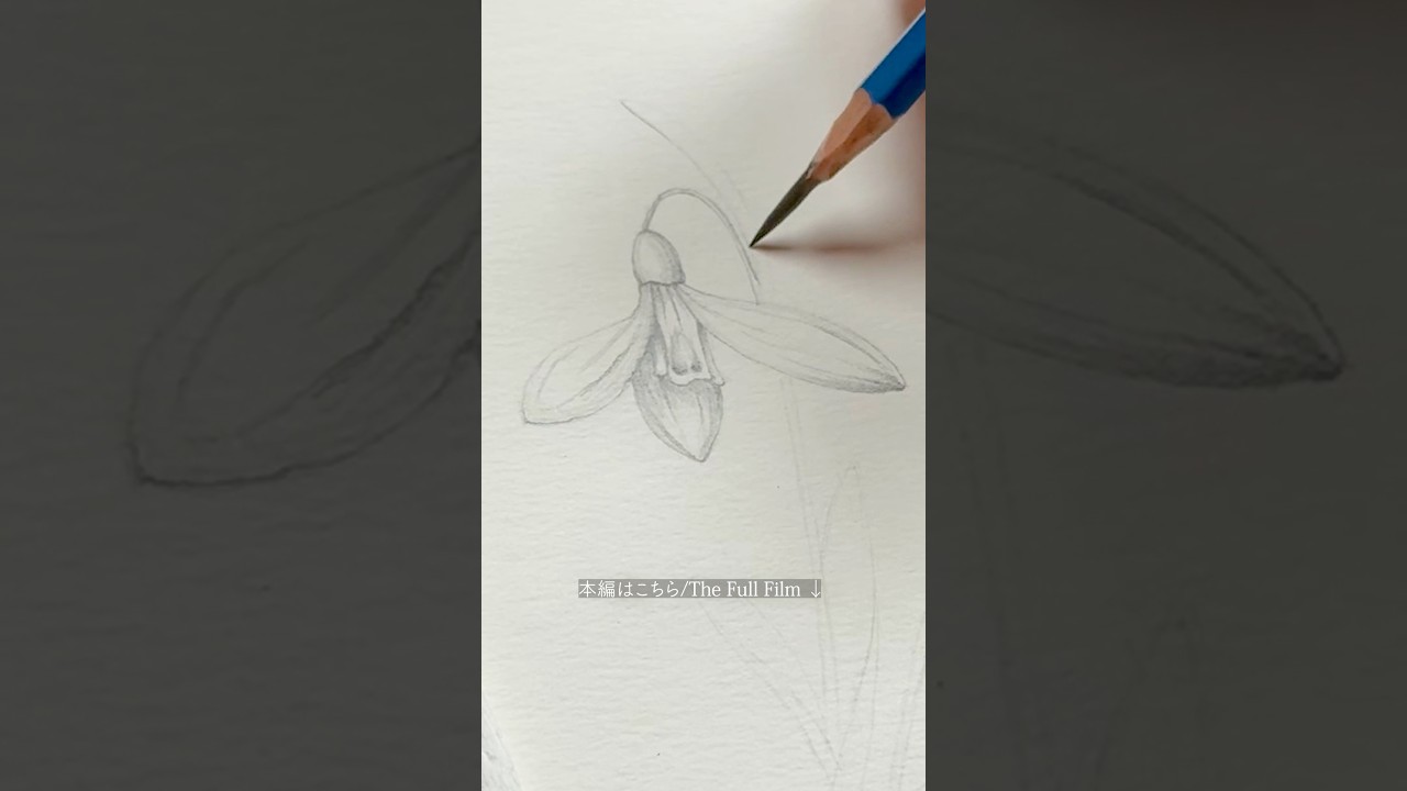 Early Spring Flowers 🌿 あなたの好きな「初春の花」は何ですか？ #Shorts #BotanicalArt