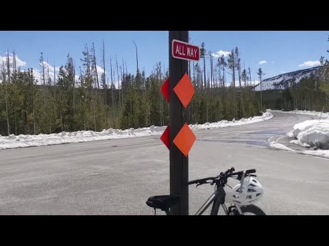 Bicycling Yellowstone National Park