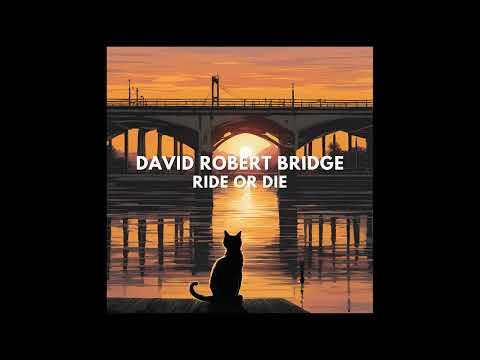 David Robert Bridge - Just Hold On