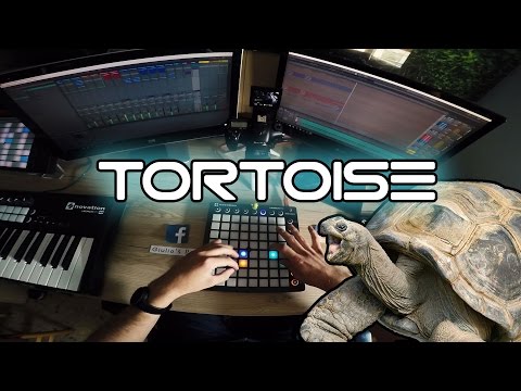 Tortoise - Giulio's Page Original - Launchpad MkII Live EDM / Dubstep