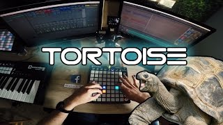 Tortoise - Giulio's Page Original - Launchpad MkII Live EDM / Dubstep