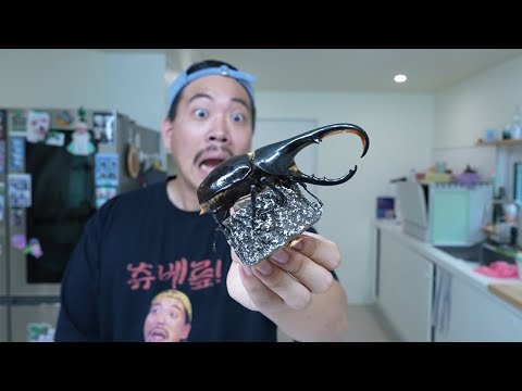 Does this make sense? A Hercules beetle, which should never be caught in our country, has been ca...