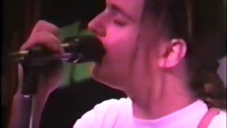 Toad the Wet Sprocket - Way Away live from Santa Barbara, CA 6-14-1991