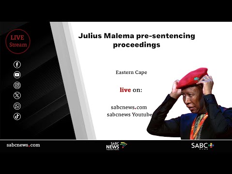 Firearm Discharge Case | Julius Malema back in court for pre-sentencing