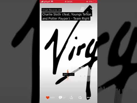 Potter payper team right