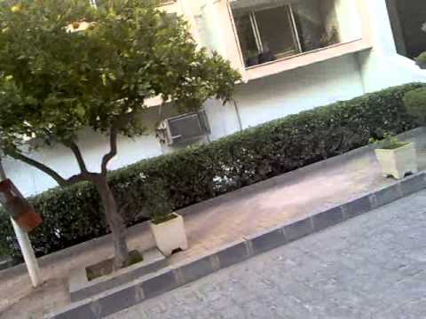 تواجد الشبيحة والأمن بجامعة دمشق في كلية الشريعة والطريق المؤدية للكلية العلوم