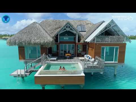 Avicii, Maroon 5, Coldplay, Alan Walker, Alok, The Chainsmokers Cover ⛅️ Summer Vibes Deep House