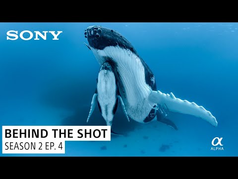 Paul Nicklen's Incredible Humpback Whale Encounter | Behind the Shot S2 Ep. 3