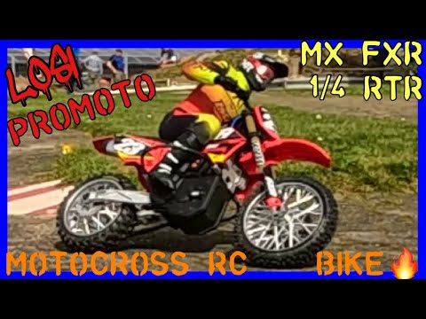 LOSI PROMOTO-MX FXR 1:4