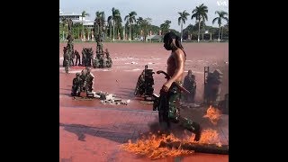 Download lagu Indonesian Special Forces Woo Mattis With Snakes, Blood-drinking mp3