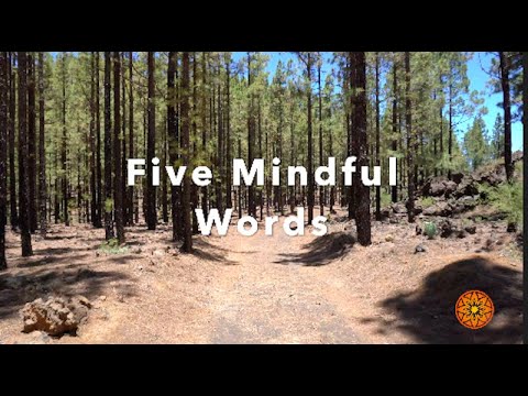 Five More Mindful Words