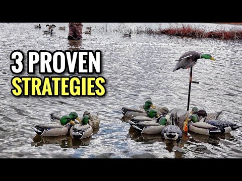 Spinning Wing Decoy Strategies That Work