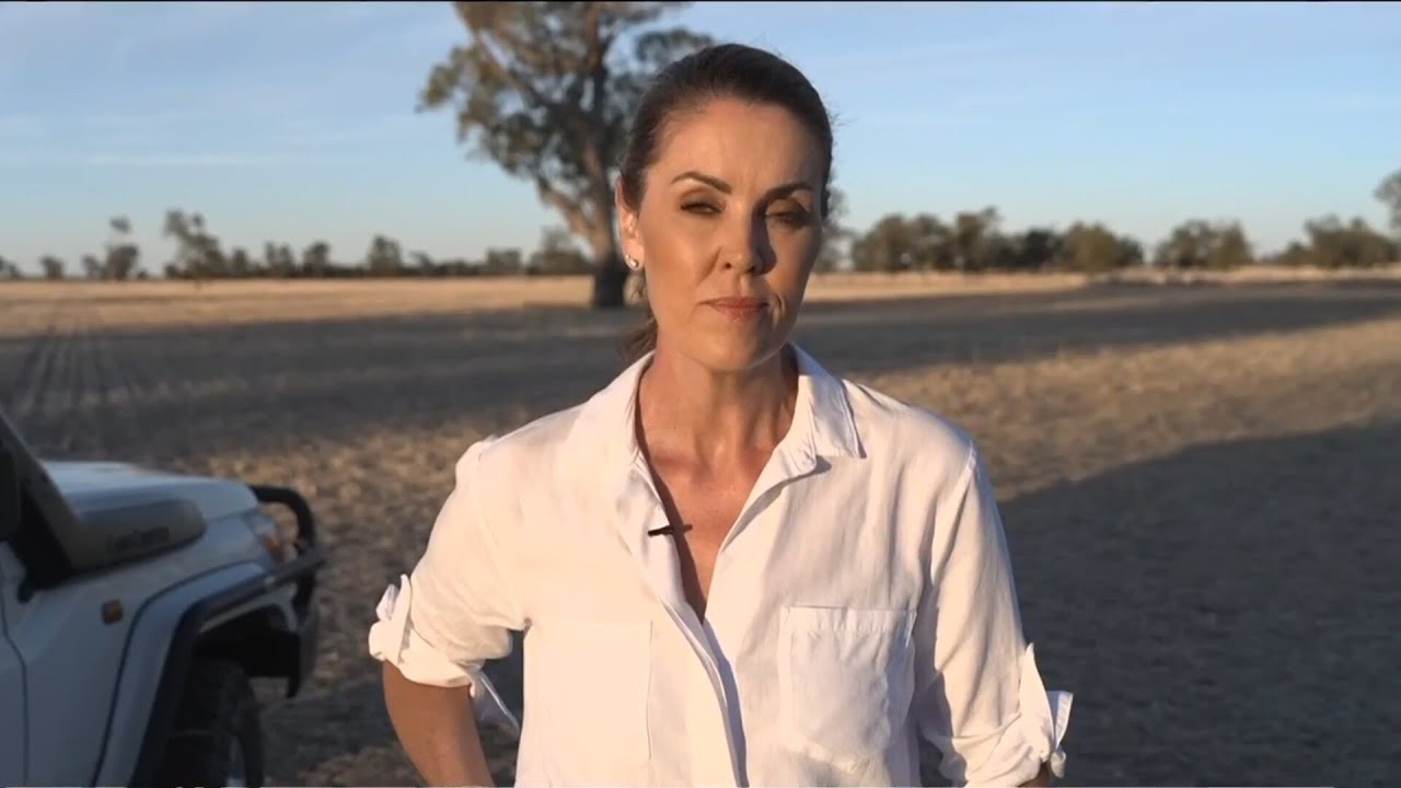 Peta Credlin exposes ‘damaging reality’ of the march towards net zero