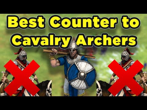 Skirms Are The Best Counter To Cavalry Archers!