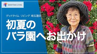老人ホームからバラ園へお出かけ🌹初夏を彩るバラ散策