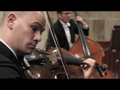 Bohuslav Martinů - Rhapsody-Concerto for viola and orchestra (WarsawPhil Orchestra, Kaspszyk, Grosz)