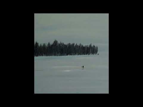 (FREE) La Fève x Alpha Wann Type Beat - Napoli