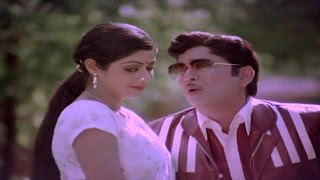 Panchami Poota Manchidhani Video Song  Sriranganee