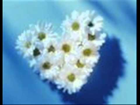 Michal Hromek- Your smile in my heart