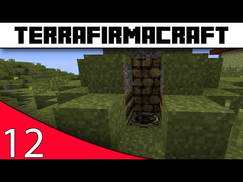 TerraFirmaCraft :: Consolidation! - E12