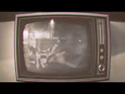 trecevoi x Kelo - D.A.Y.S