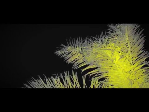 Dave Preston -- Unity -- Official Music Video [HD]