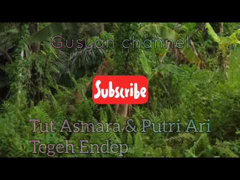 Tut Asmara ft Putri Ari _-_ Tegeh Endep Lirik Lawas Bali