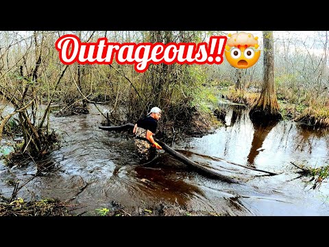 Beavers Got Me Working Overtime! || Beaver Dam Removal In Beaver Chair Dam Area S1 EP.8!