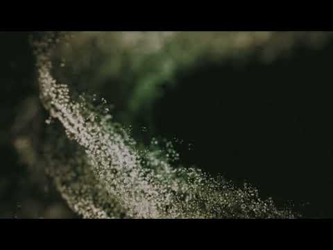 Stefano Guzzetti & Neil Leiter - Lost