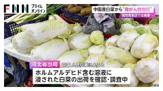 中国産白菜から“発がん性物質”　現地青果店では廃棄（2026年08月26日）