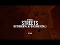 Streets & You Right, Doja Cat (Instrumental w/ backing vocals) (Live version)