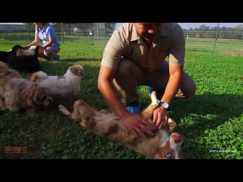 Kennel Tour 62