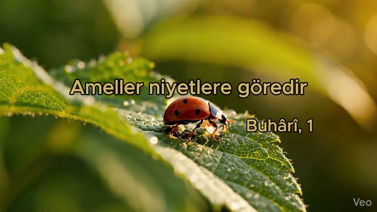 Ameller niyetlere Göredir