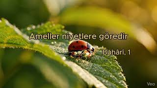 Ameller niyetlere Göredir