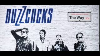 BUZZCOCKS  in the back