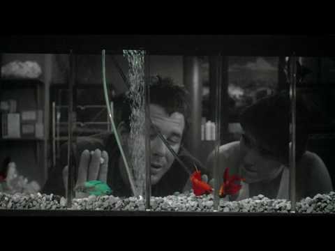 RUSTY JAMES - extrait "Poissons combattants" VOST