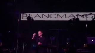 Blancmange - Blind Vision