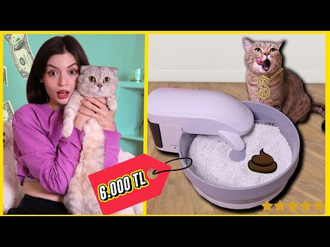 , title : 'EN PAHALI KEDİ ÜRÜNLERİNİ TEST ETTİM! (Otomatik Kedi Tuvaleti, Robot Mama Kabı, Kedi Arabası...)'