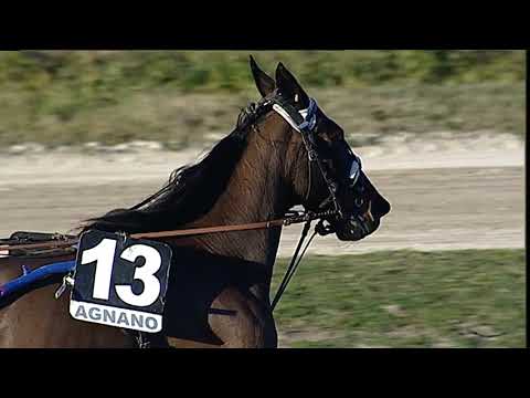 Napoli Trotto 05/02/2023 - 5ª corsa