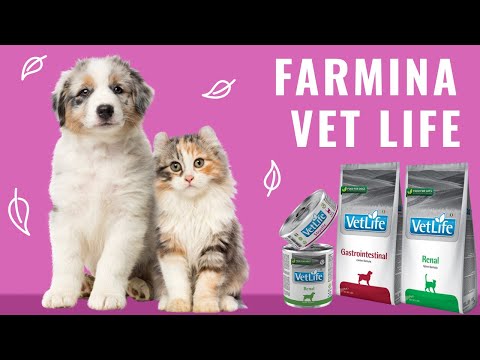 Влажный корм Farmina Vet Life Gastrointestinal для собак, при заболевании ЖКТ, 300 г video