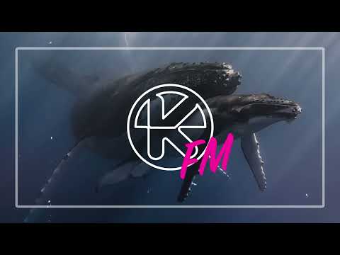 Cornelius SA & Skyknock – Echoes