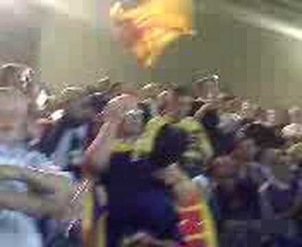 mcfadden goal v france