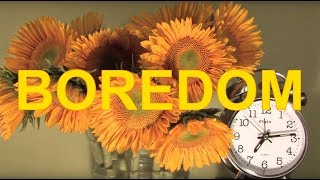 Boredom - Tyler, The Creator (Lyrics/Music Video)