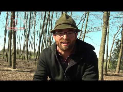 A jövőd a jelened? Álmodozol vagy mersz lépni?!