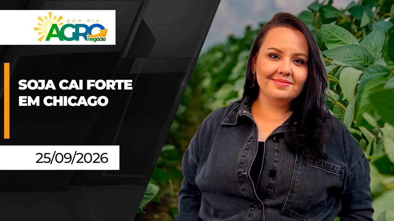 Bom Dia Agro - Soja cai forte após falta de notícias entre Trump e Xi Jinping